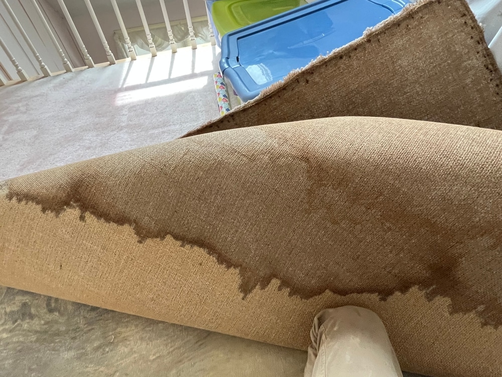 Water damage on carpet