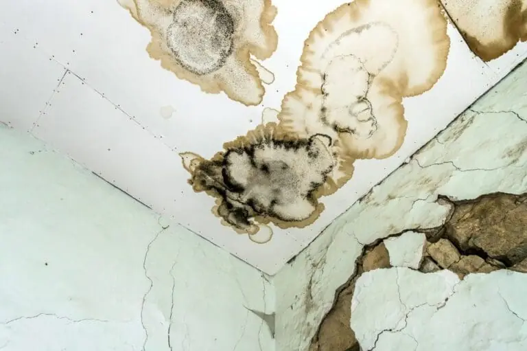 Flood & Water Damage Restoration Services in Mesquite, TX - DryForce Restoration