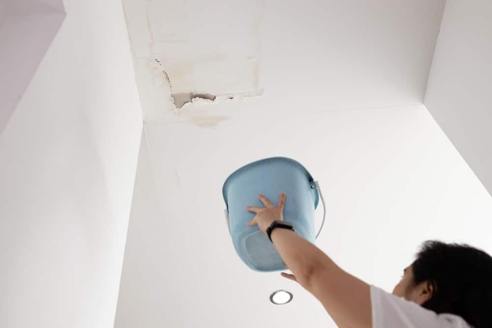 8 Steps to Take After Water Damage To Your Home