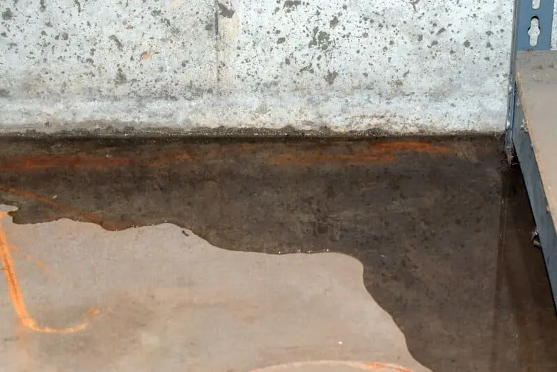 Foundation Water Damage in Texas: Causes, Warning Signs & Solutions - DryForce Restoration excess water in basement