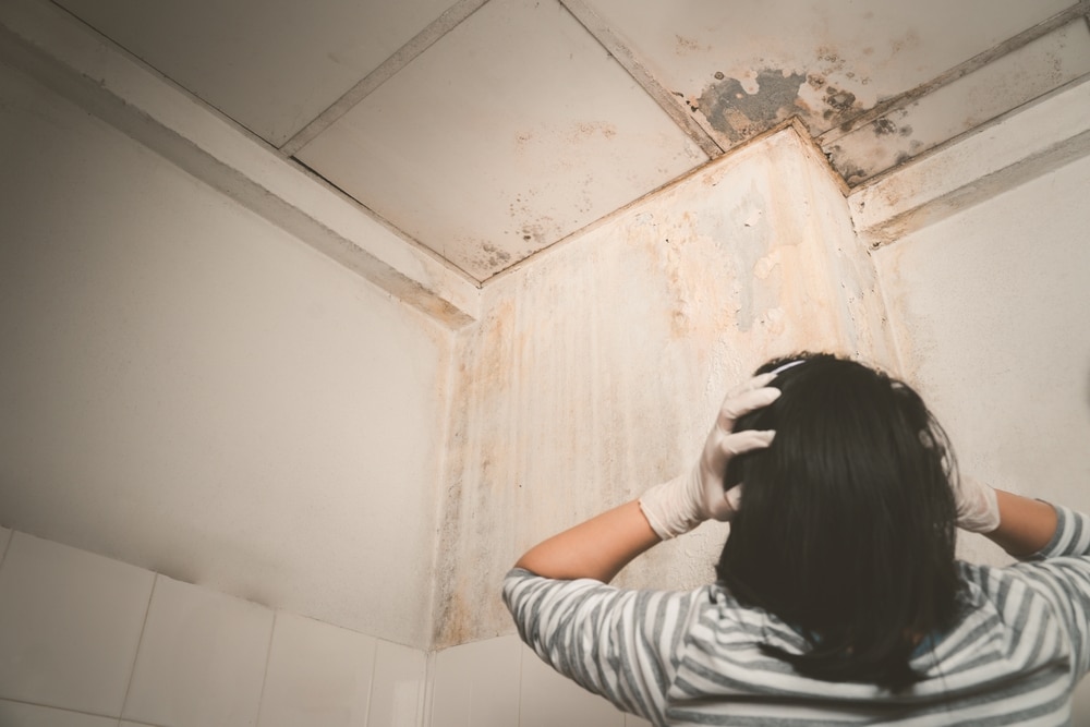 What to do when you notice water damage to your foundation