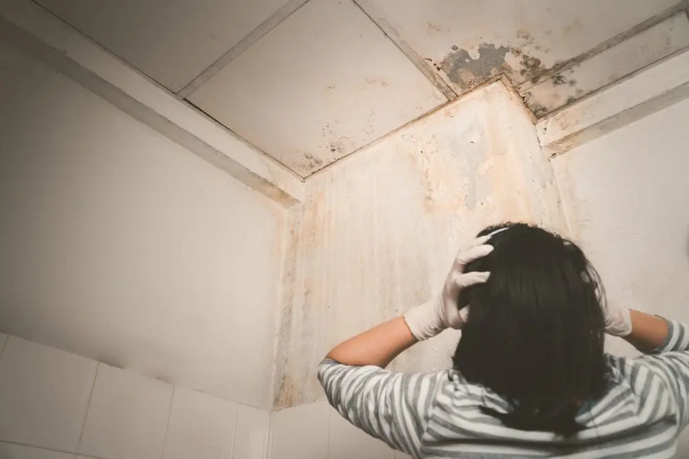 Foundation Water Damage in Texas: Causes, Warning Signs & Solutions - DryForce Restoration What to do when you notice water damage to your foundation