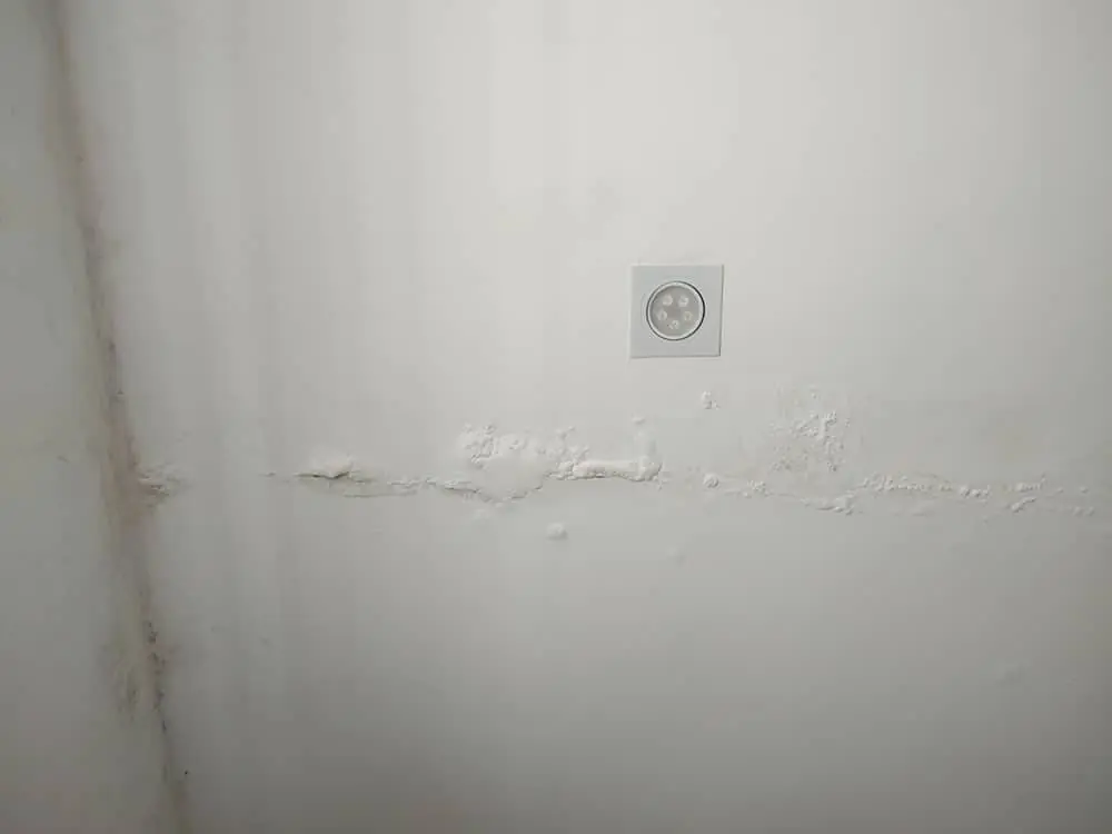 Water leak in wall forming a bubble