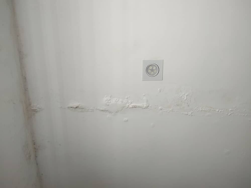Featured image for “How to Fix a Water Bubble in the Wall: Causes & Easy Solutions”