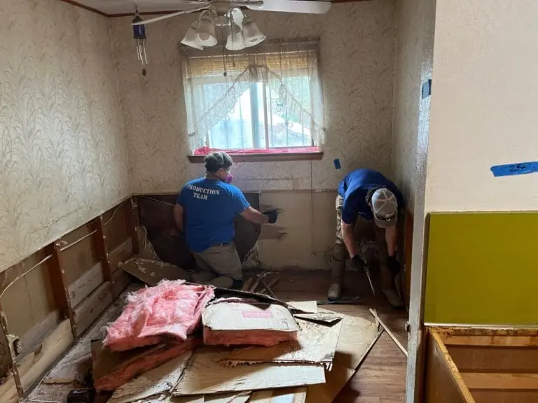 damage reconstruction
