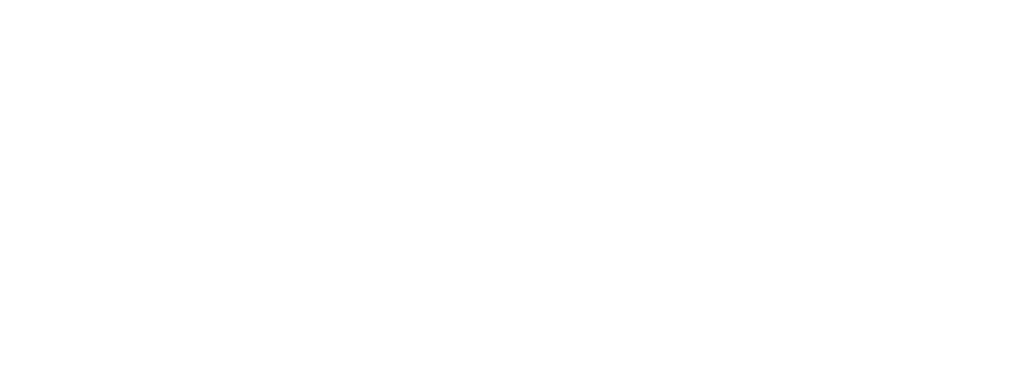 Dry Force Logo