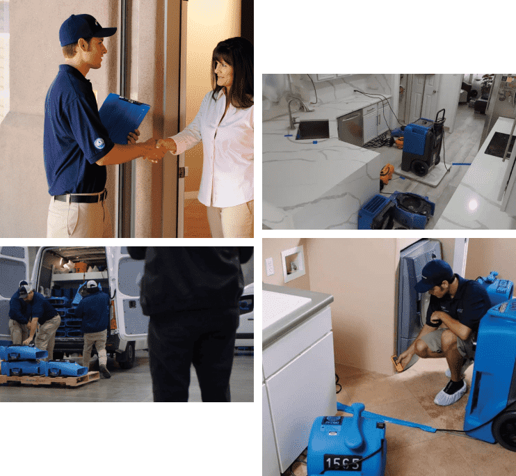 Sewage Water Cleanup Services - DryForce Restoration