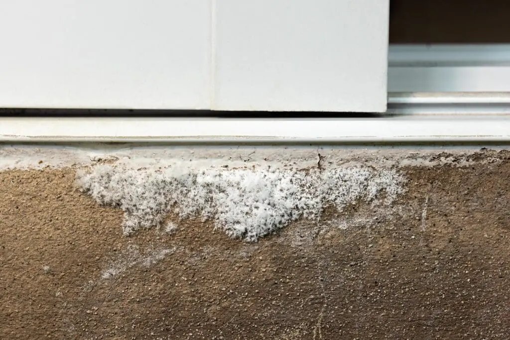 Efflorescence spots on crawl space