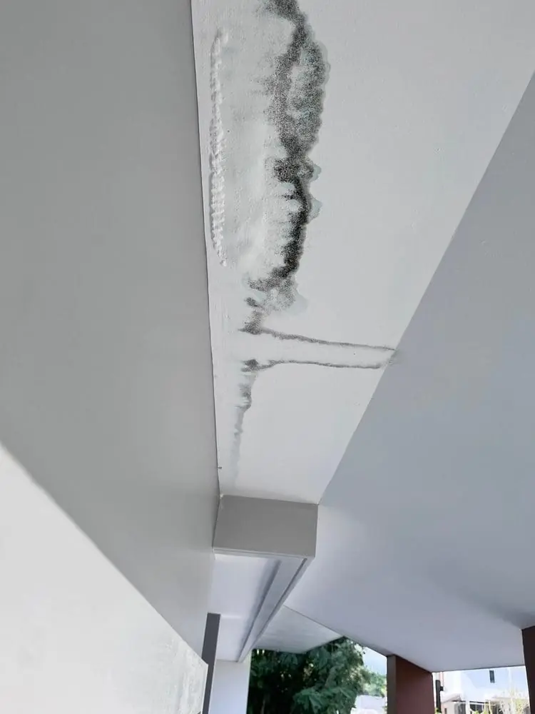 Water Damage Mitigation and Removal Services in Buda, TX - DryForce Restoration