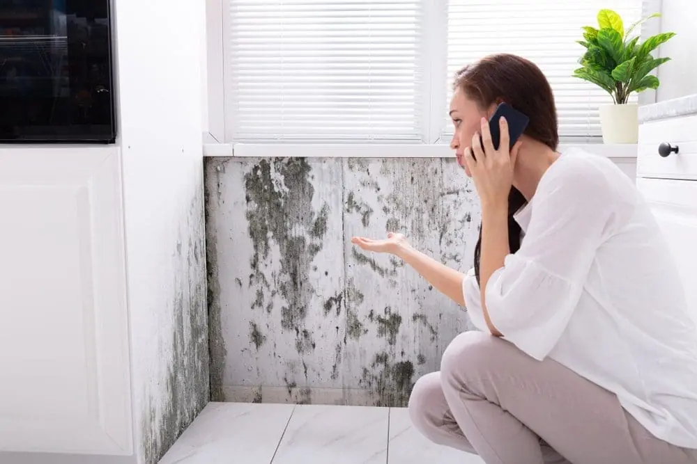 Crawl Space Water Restoration and Repair Services - DryForce Restoration