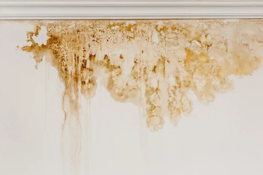 Signs of water damage