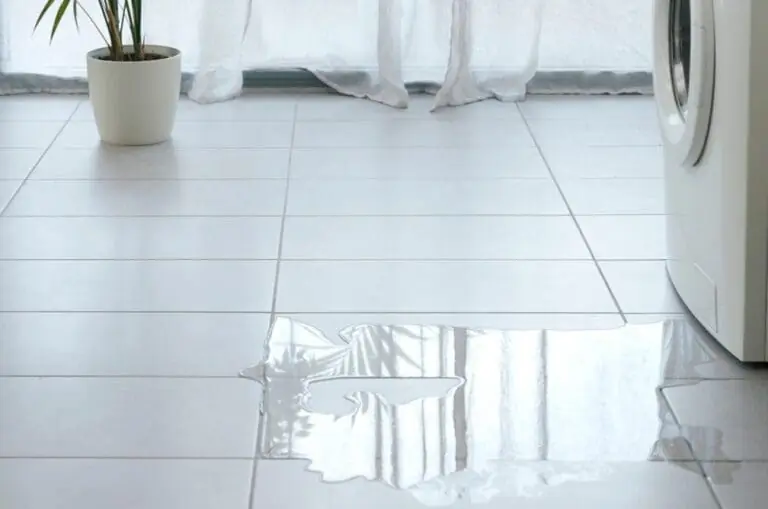 Leaking appliance