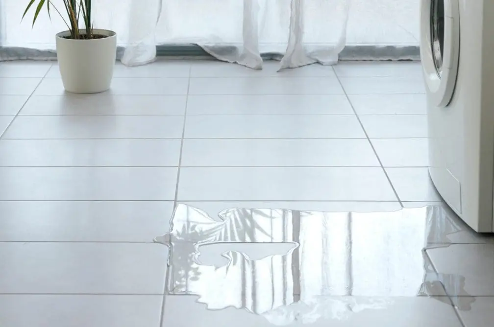 Leaking appliance
