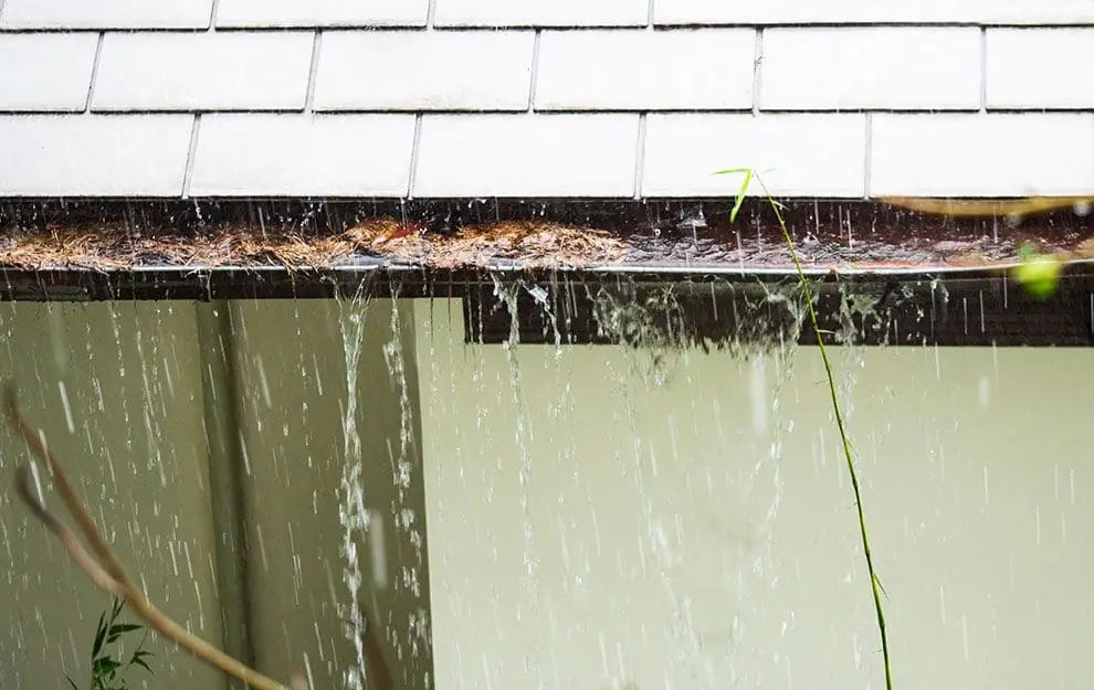 Flood Damage Restoration & Water Removal Services - DryForce Restoration